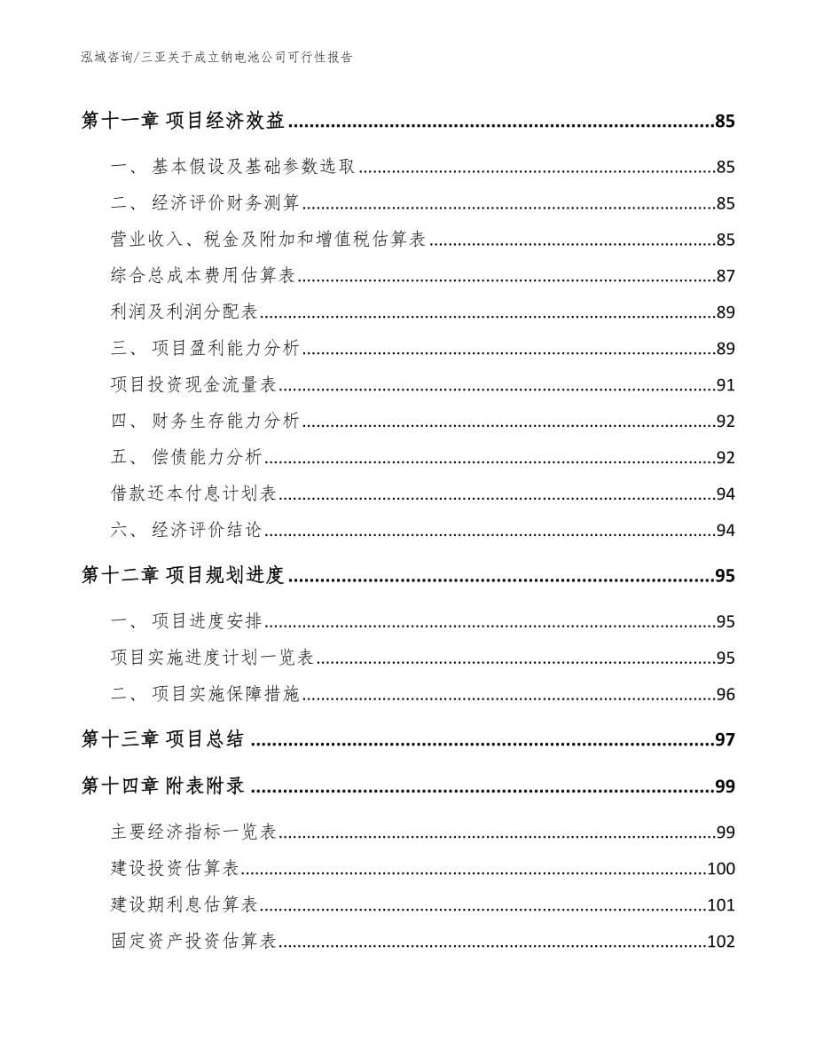 三亚关于成立钠电池公司可行性报告_第5页