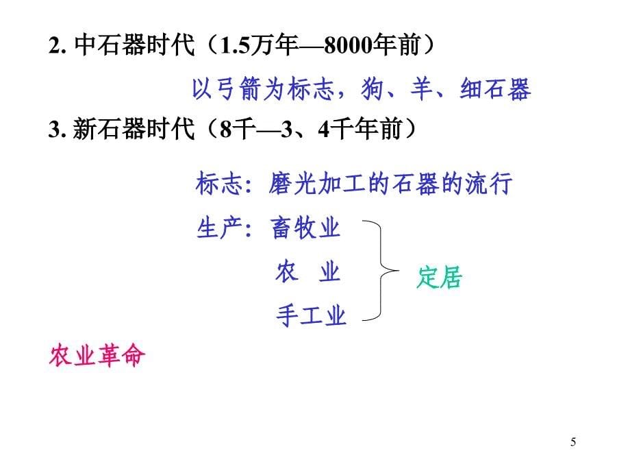 第一章史前时代_第5页