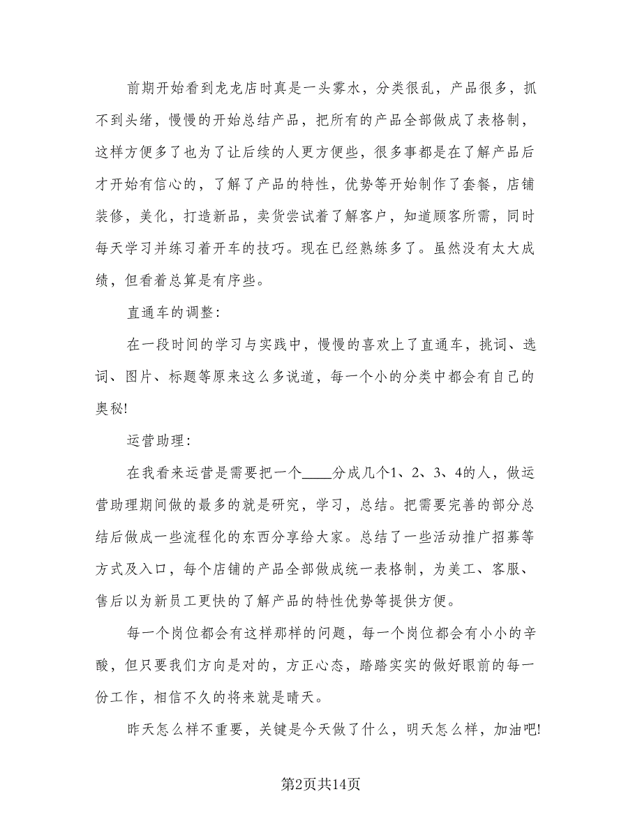 2023美工年终总结范文（8篇）_第2页