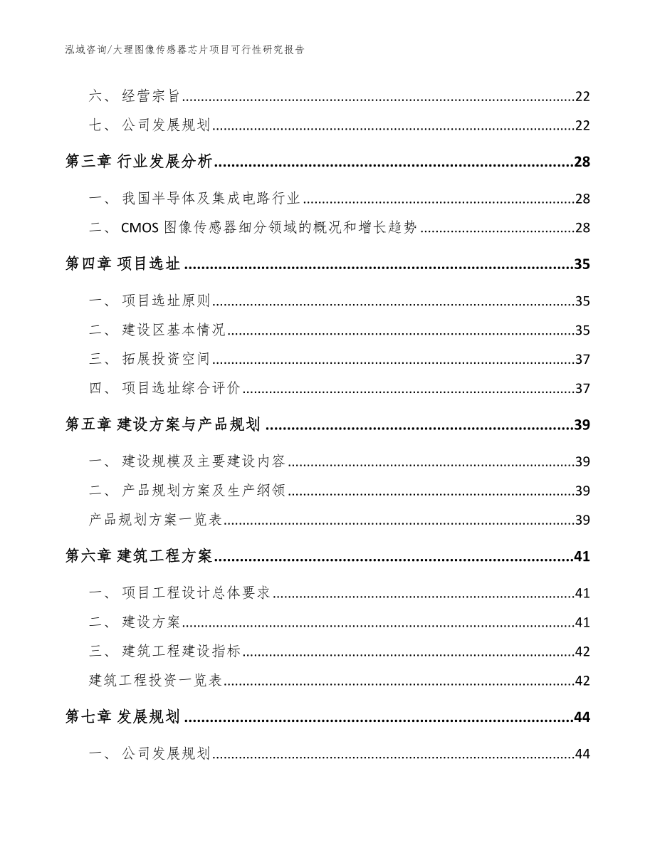 大理图像传感器芯片项目可行性研究报告模板范文_第2页