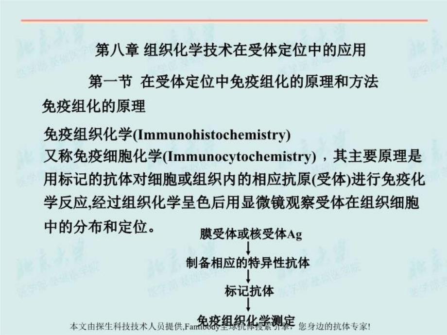 最新受体研究技术PPT课件_第3页