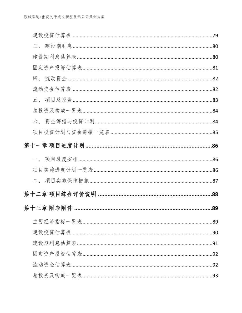 重庆关于成立新型显示公司策划方案_模板范文_第5页