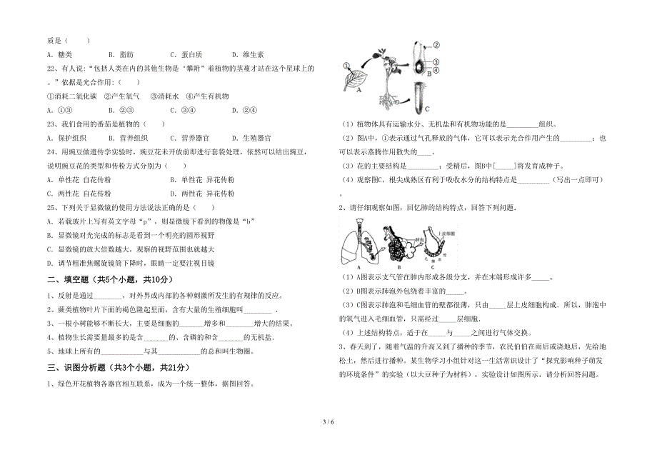 最新人教版七年级上册《生物》期末考试及答案【一套】.doc_第3页