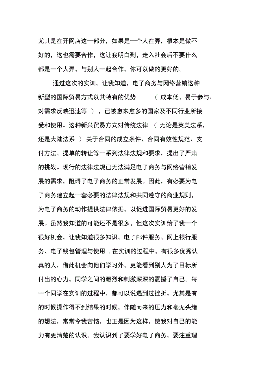 网络营销实训个人总结_第2页