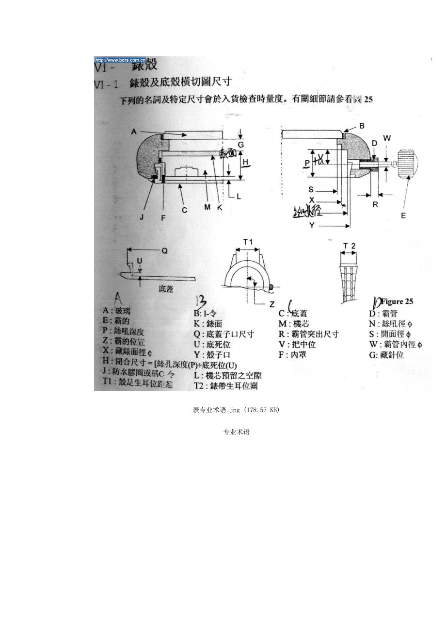 钟表的解剖图解.doc_第2页