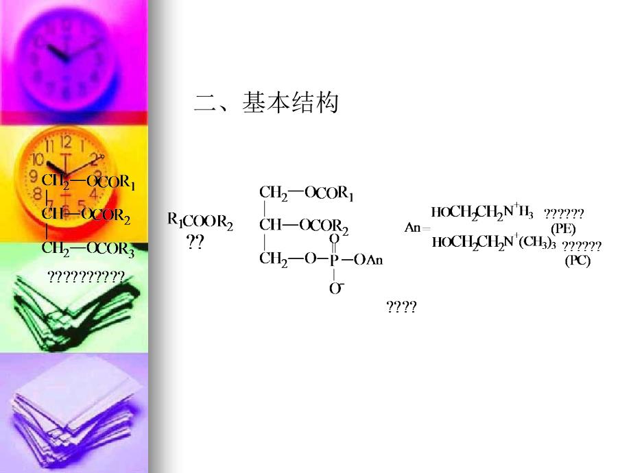 第五章食品中的脂类物质第一节概述_第4页