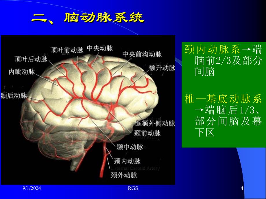 断层解剖脑血管1PPT课件_第4页