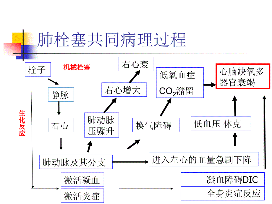 肺栓塞的发病机制、诊断和处理723_第4页