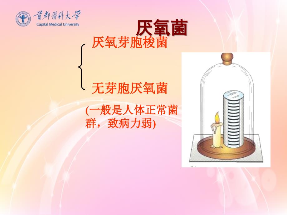 厌氧菌课件.ppt_第2页