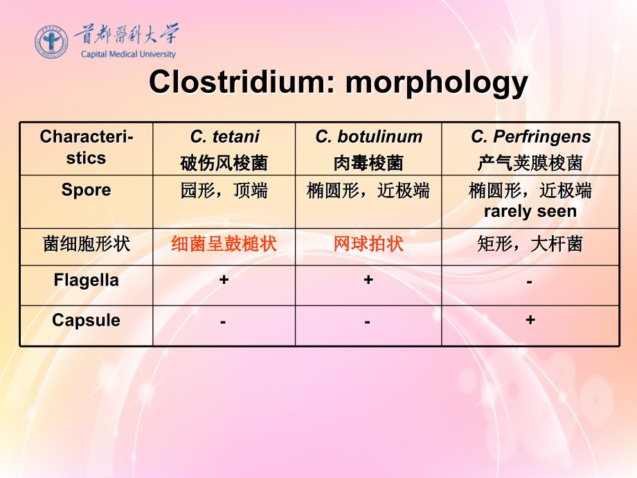 厌氧菌课件.ppt_第4页