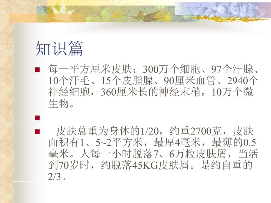 皮肤专业知识理论课件_第1页