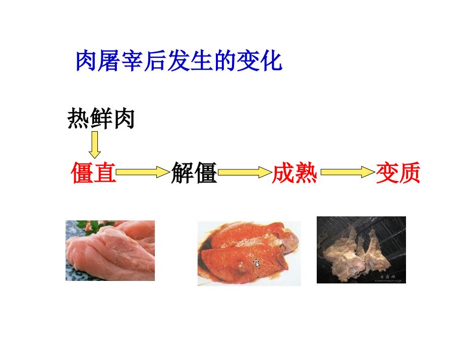 《宰后肉的变化》PPT课件.ppt_第3页