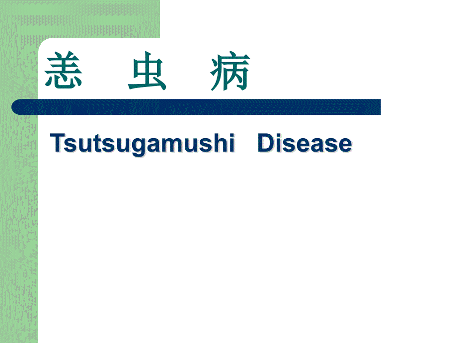 恙虫病的临床表现及诊断治疗精编ppt_第1页