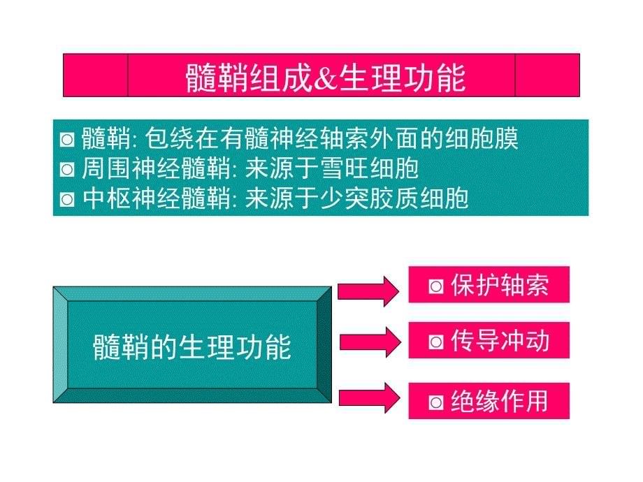 《脱髓鞘疾病》PPT课件_第5页