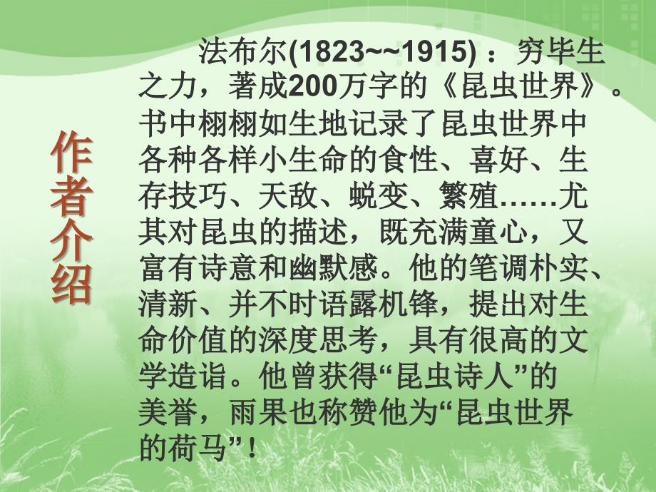 语文苏教版七下课件松树金龟子.ppt_第3页