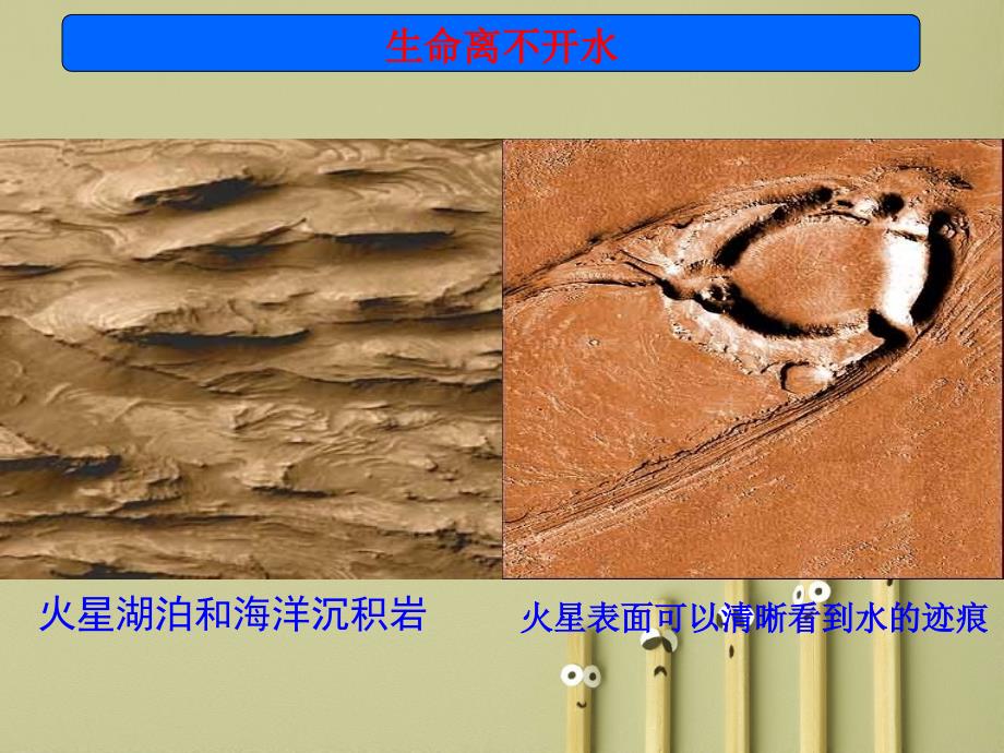 高中生物必修1细胞中的无机物PPT_第3页