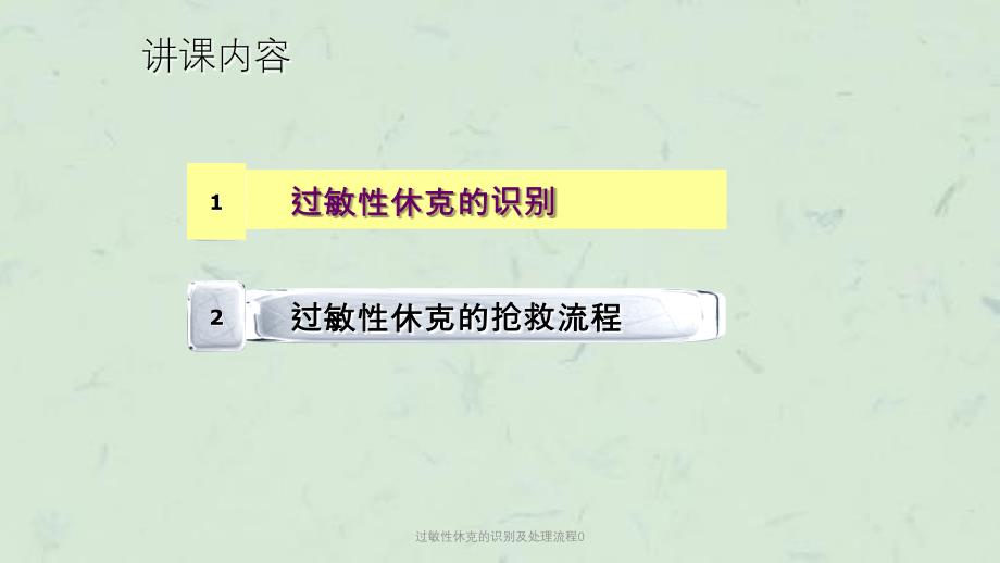 过敏性休克的识别及处理流程0课件_第2页