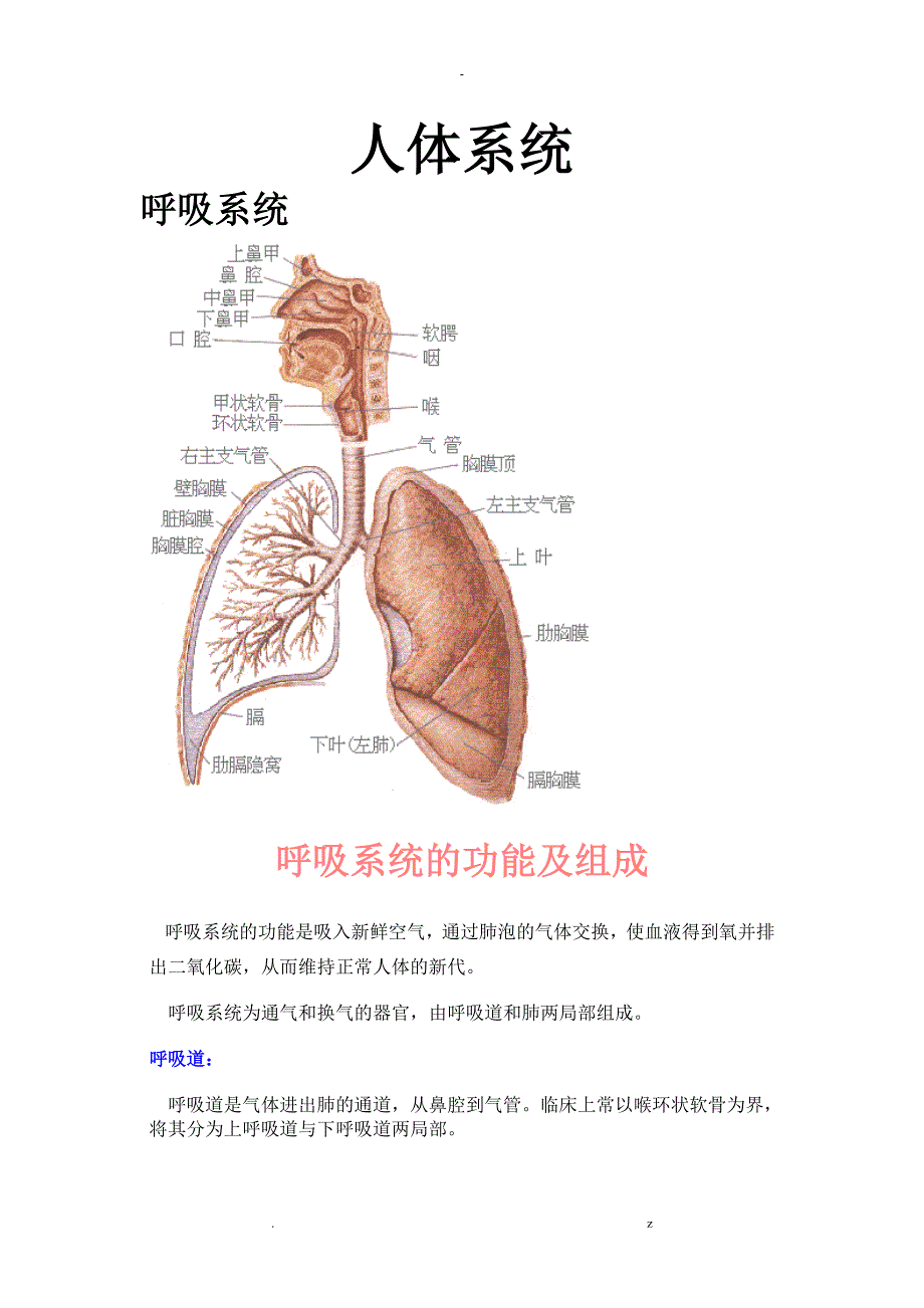 人体八大系统大全_第1页