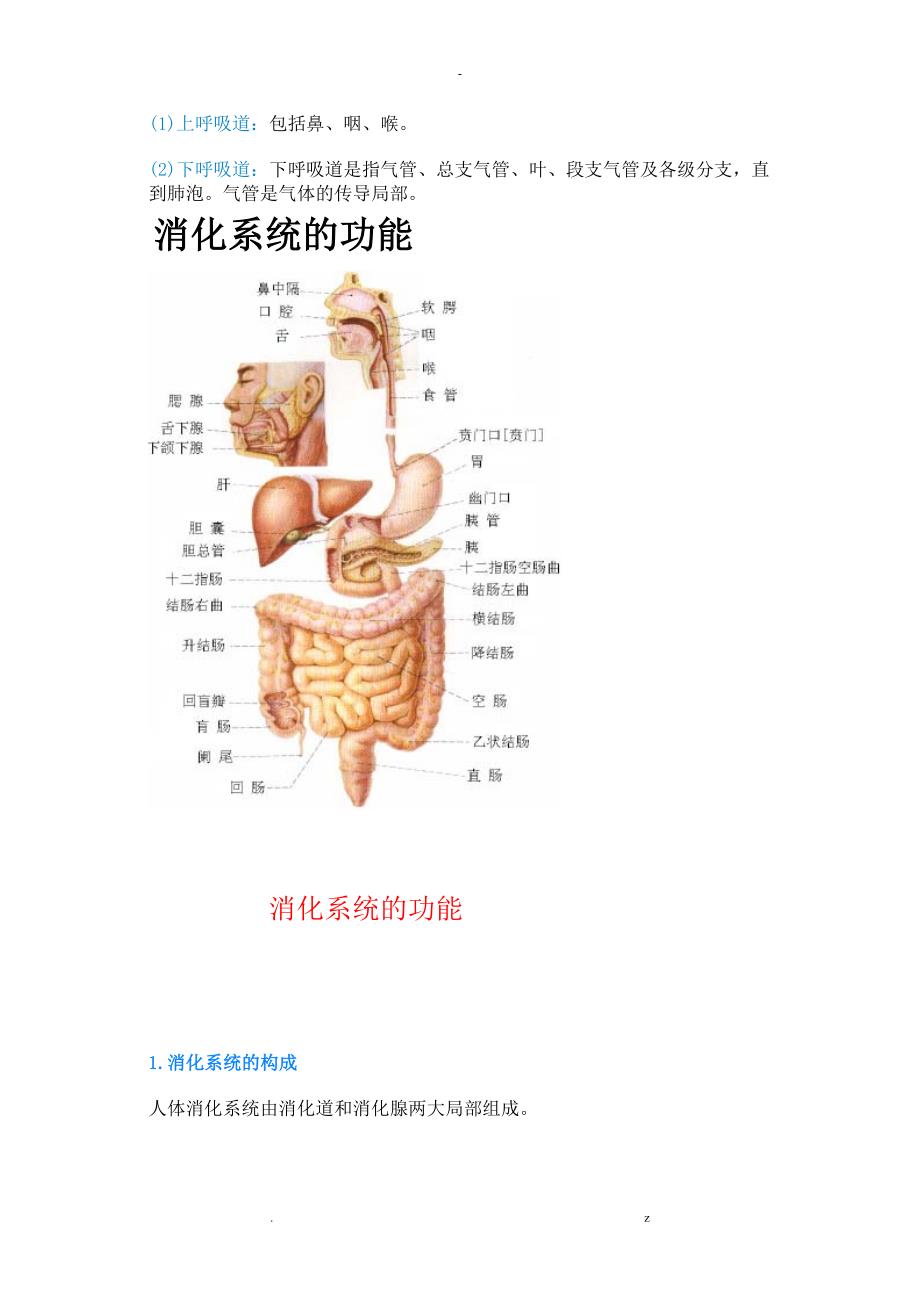 人体八大系统大全_第2页