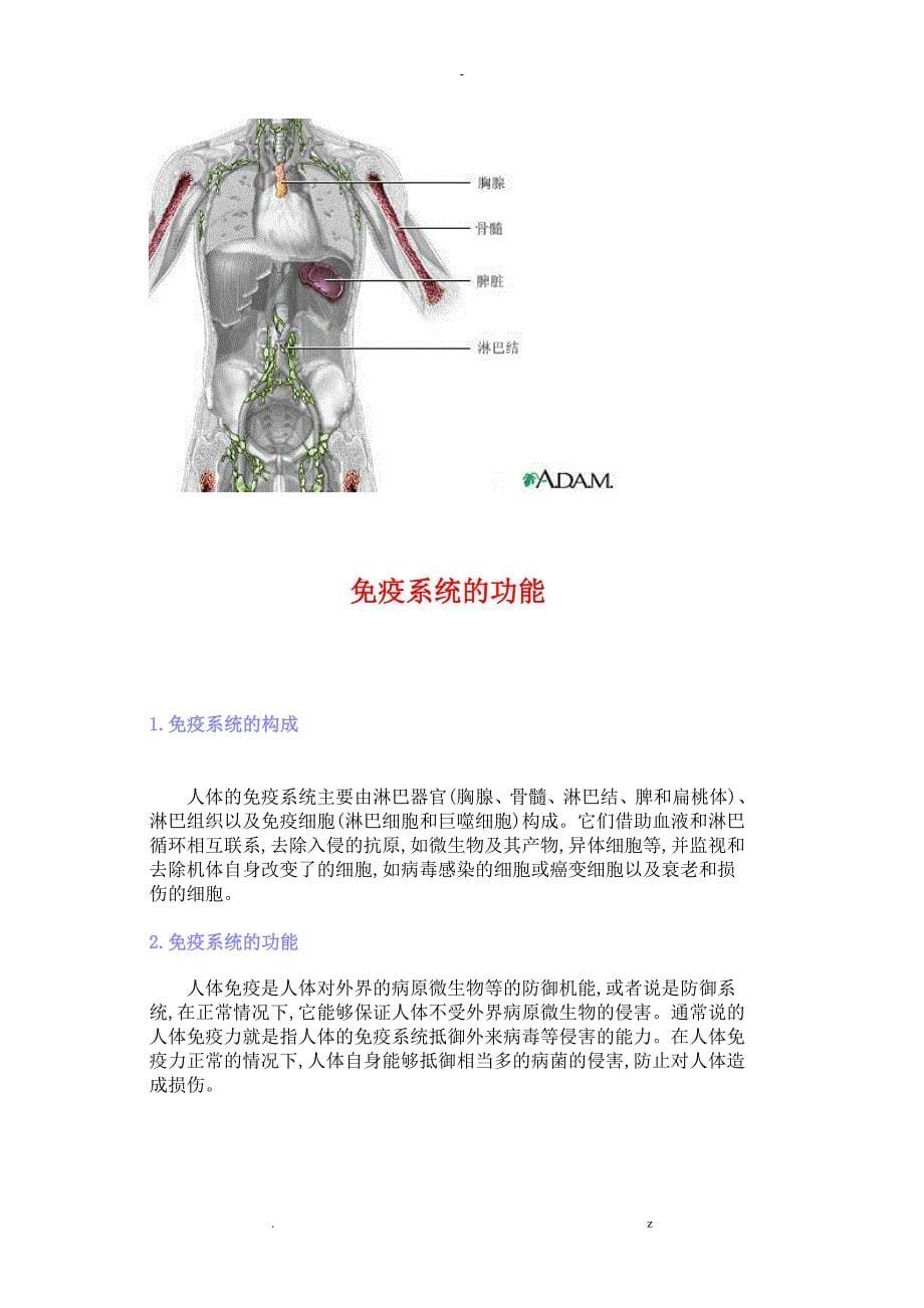 人体八大系统大全_第5页