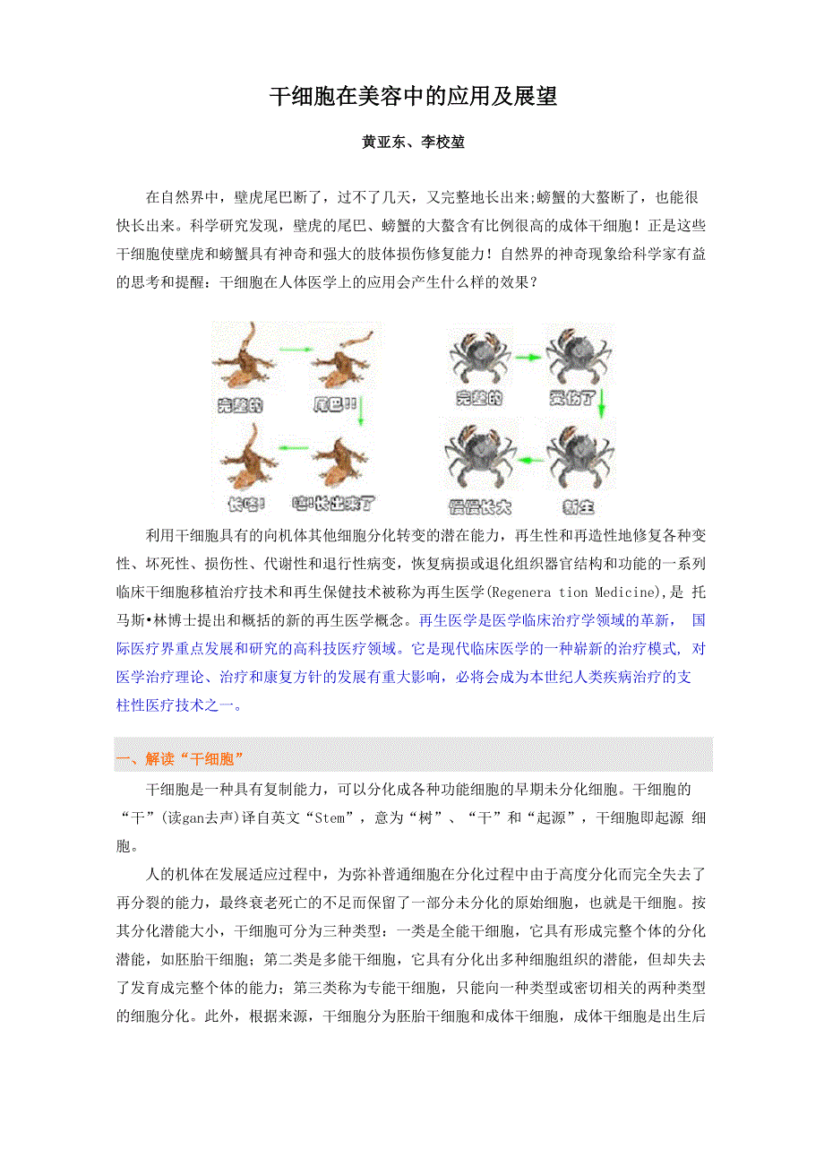 干细胞在美容中的应用及展望_第1页