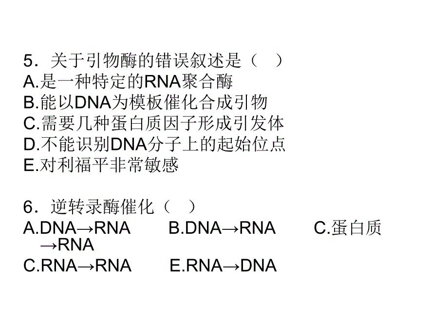 生化课件DNA合成_第4页