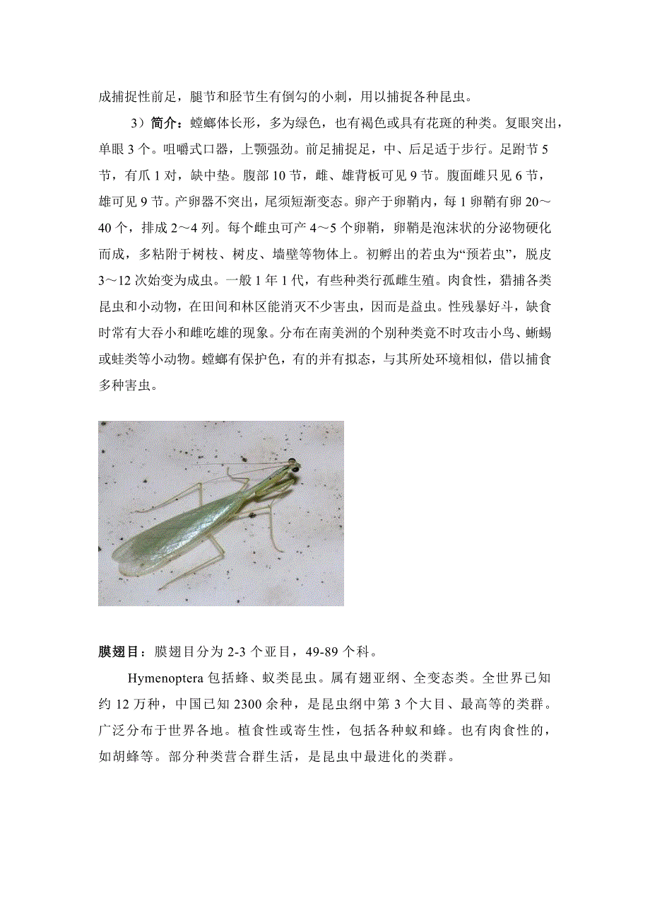 昆虫学实验文档方赞山 设施(2)班.doc_第2页