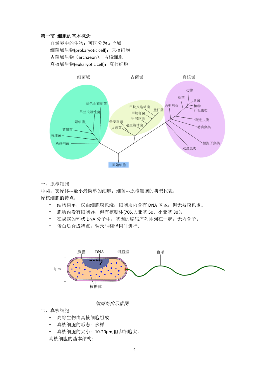 【精品文档】医学细胞生物第五版知识点大全.doc_第4页