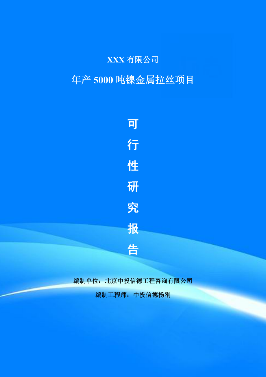 年产5000吨镍金属拉丝项目可行性研究报告建议书_第1页