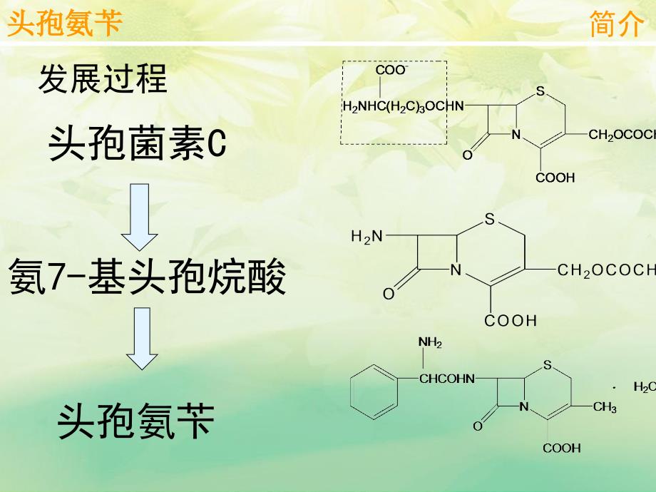 头孢氨苄生产工艺流程_第4页