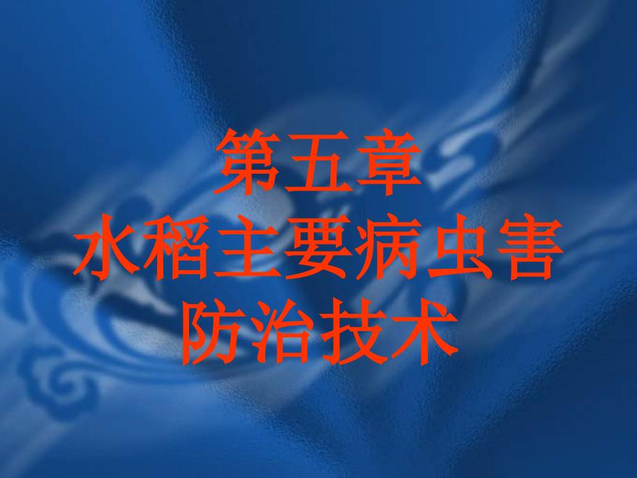 水稻主要病虫害防治技术教学课件_第1页