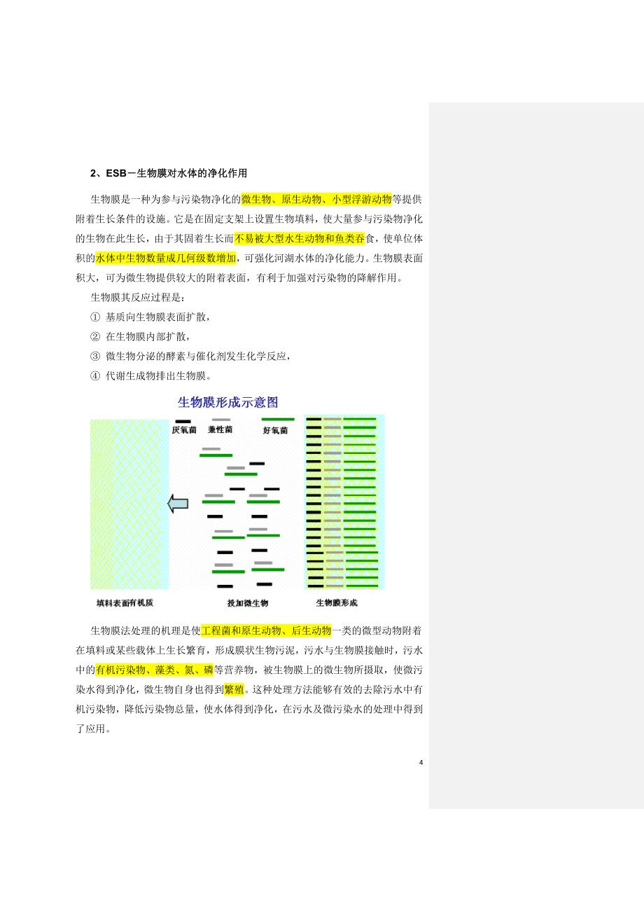 !河湖治理技术方案(主要是生物-生态技术).doc_第4页