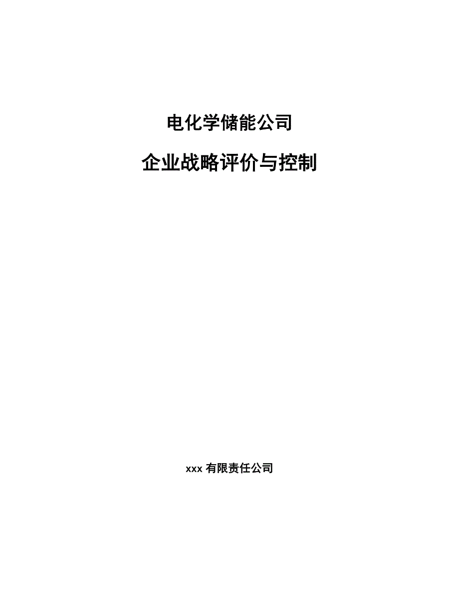 电化学储能公司企业战略评价与控制_第1页