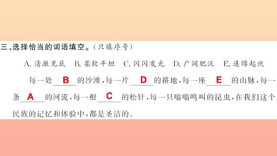 六年级语文上册 第四组 15 这片土地是神圣的习题课件 新人教版.ppt_第5页