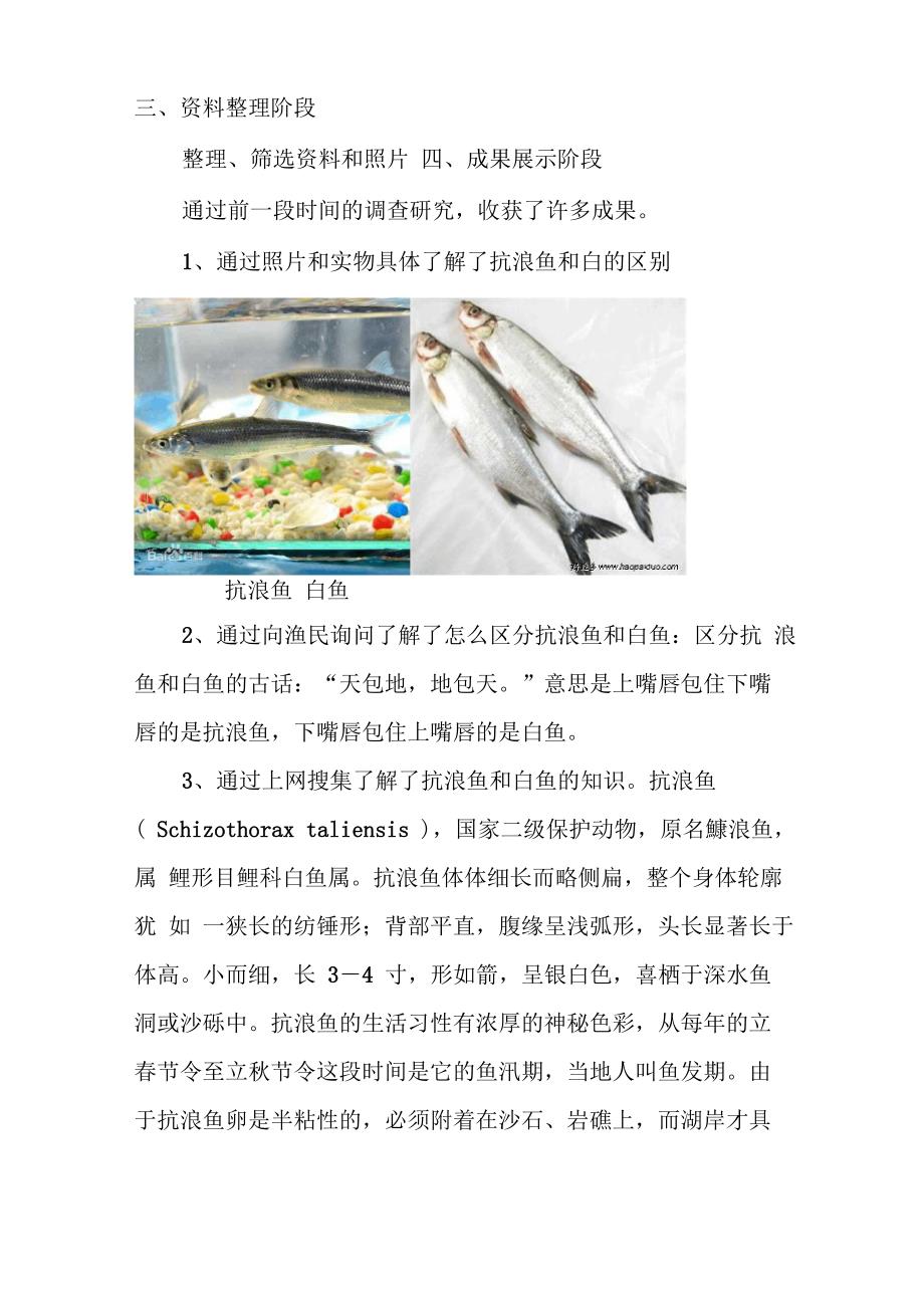 《抗浪鱼和白鱼的区别》科技实践活动报告_第2页