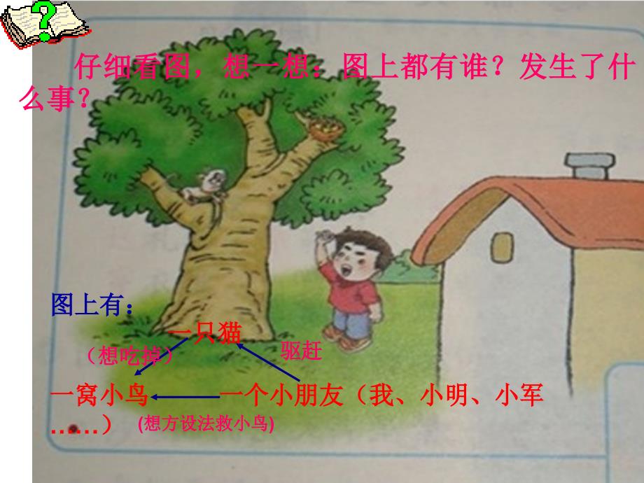 《看图写话救小鸟》PPT课件.ppt_第3页