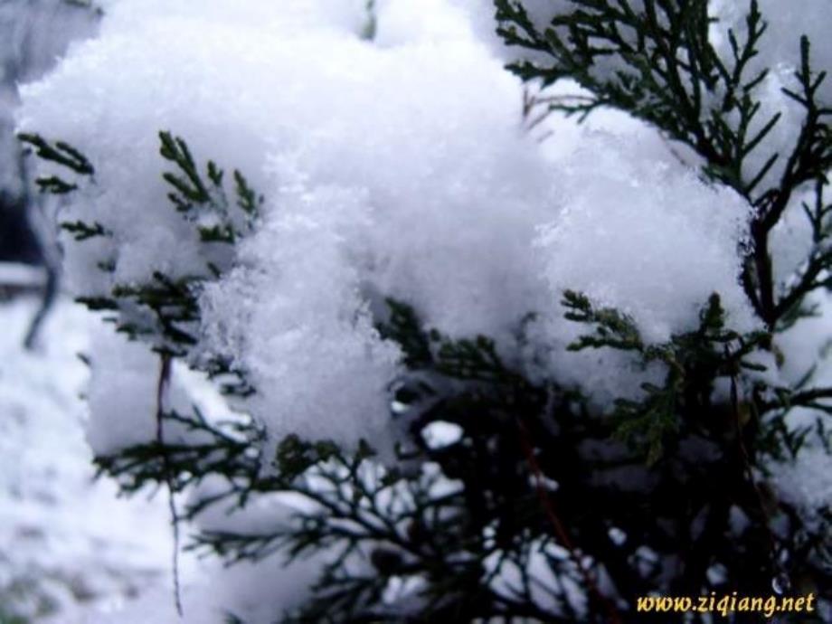 湖心亭看雪（2）_第4页