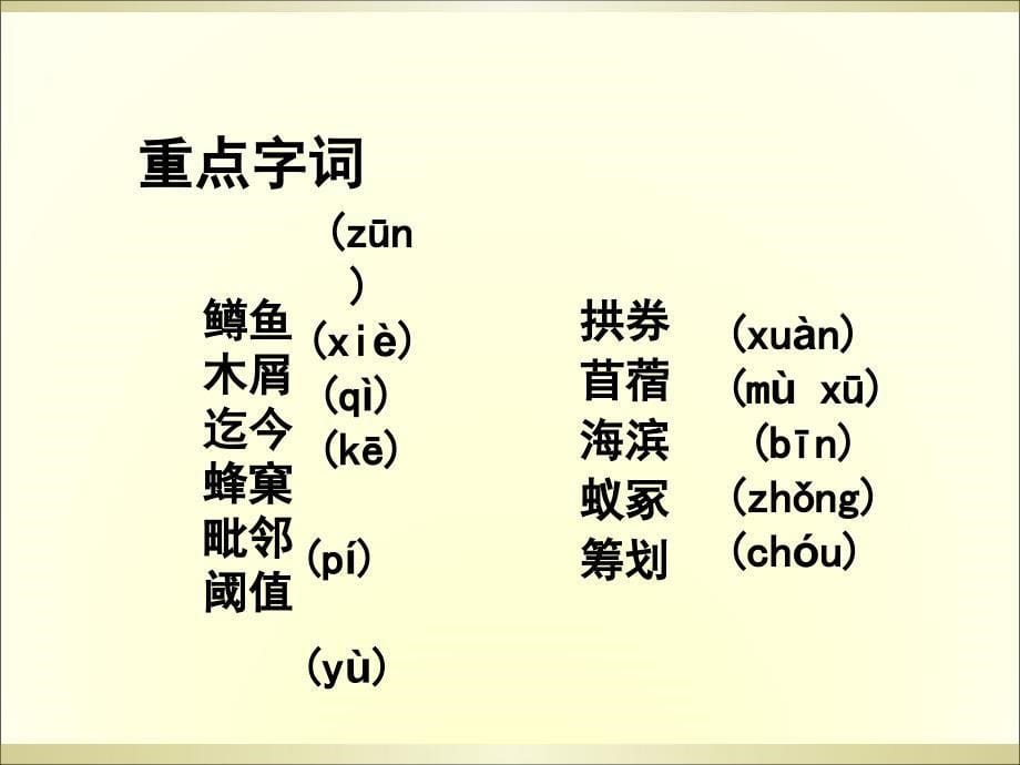 作为生物的社会ppt课件_第5页