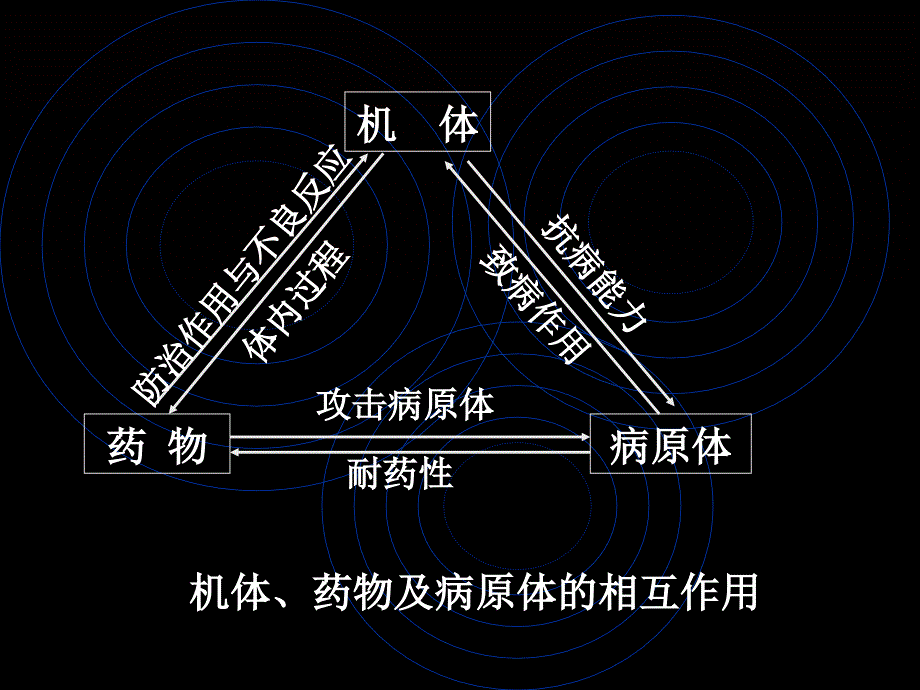 医学课件药理化疗药_第3页