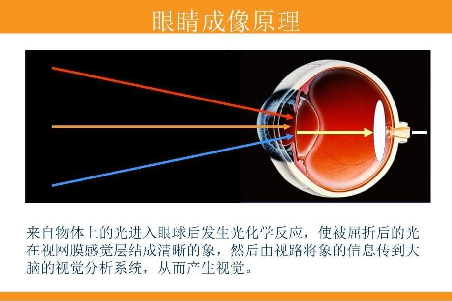 近视防治知识普及讲座(科普)_第5页