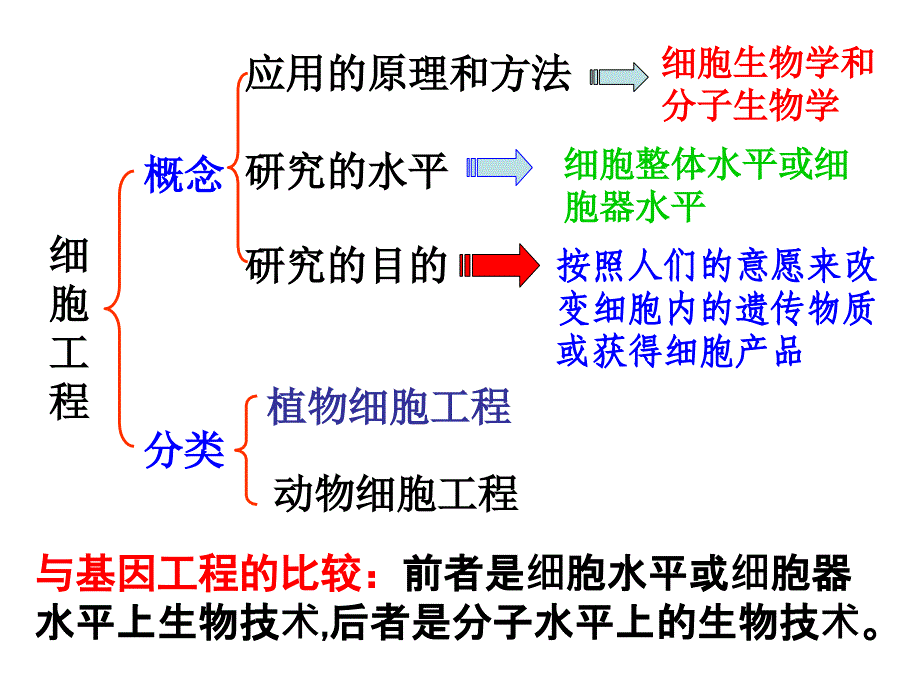 选修三2.1植物组织培养技术_第3页