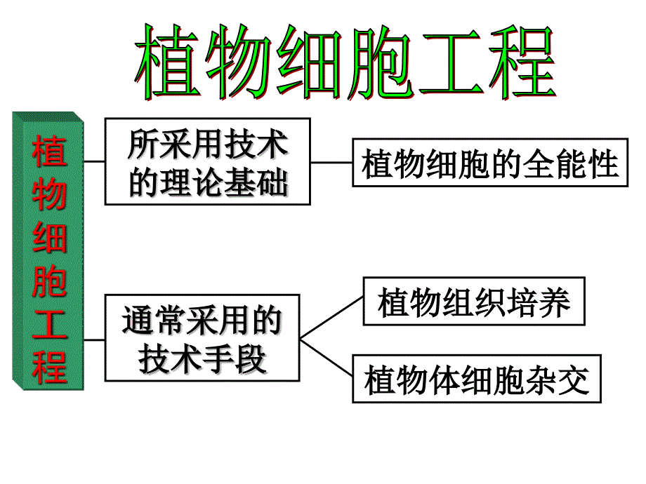 选修三2.1植物组织培养技术_第4页