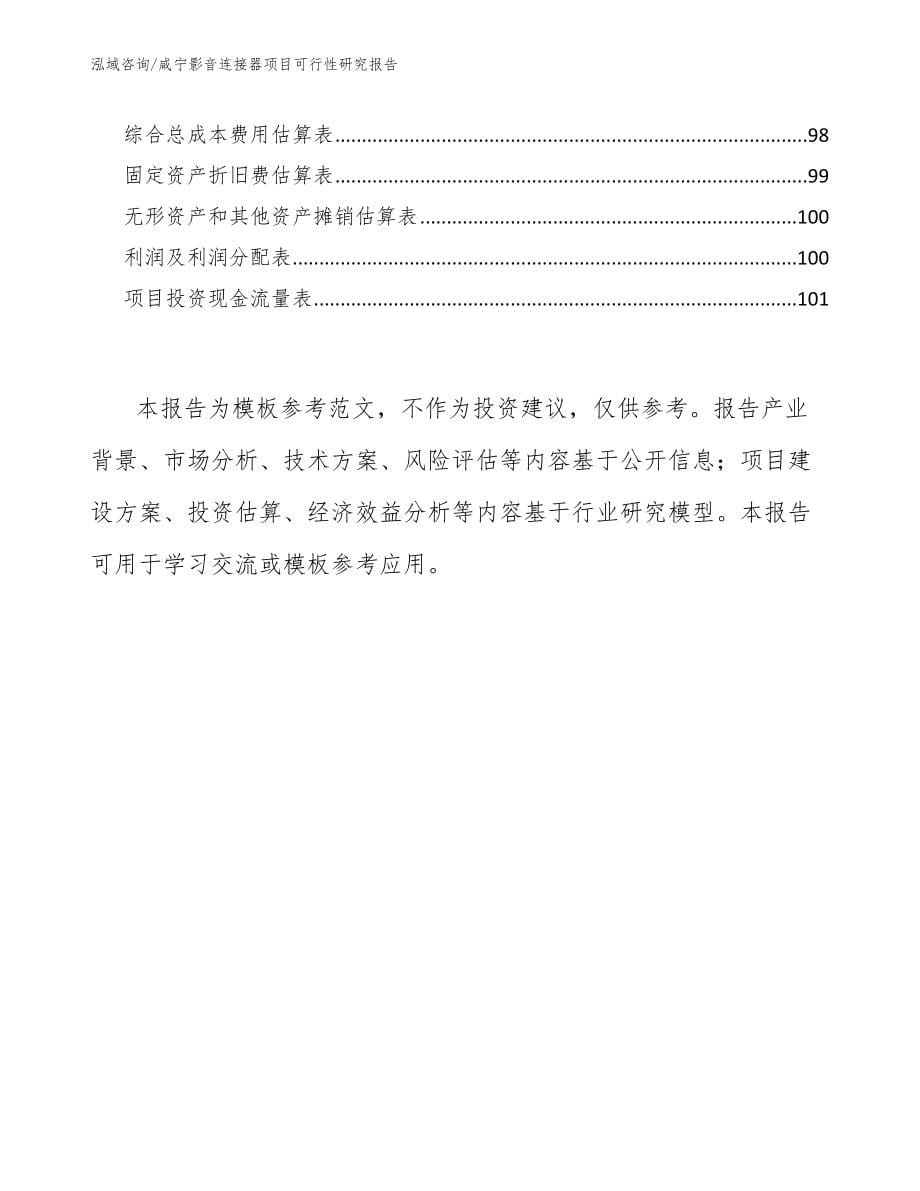 咸宁影音连接器项目可行性研究报告模板范本_第5页