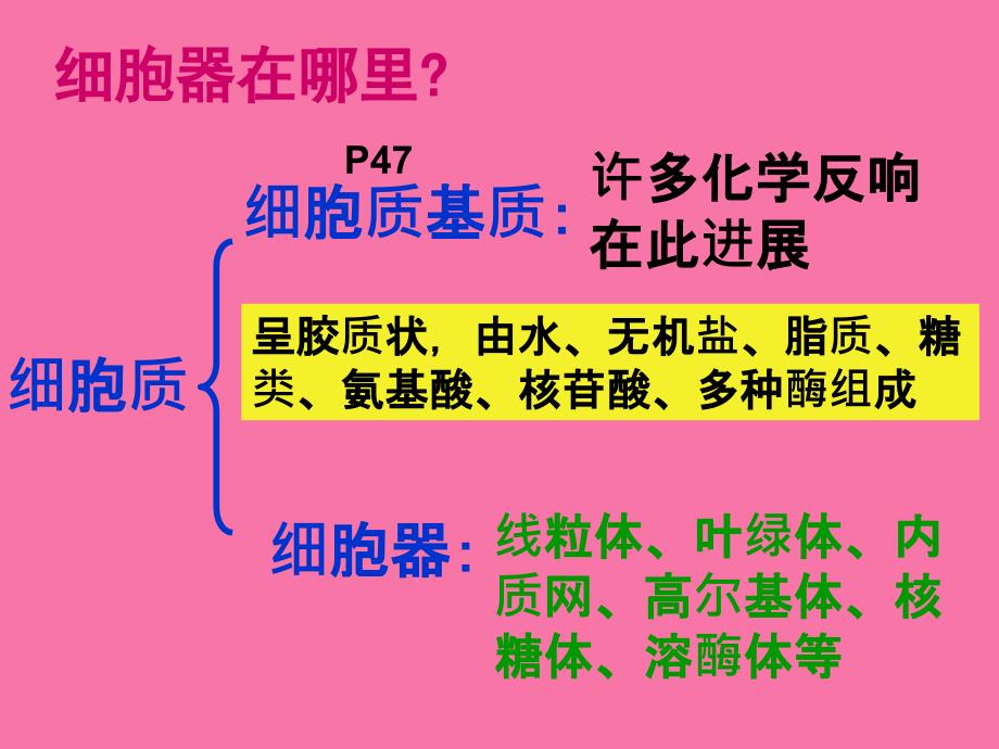 生物必修一人教版第2节细胞器系统内的分工合作ppt课件_第3页