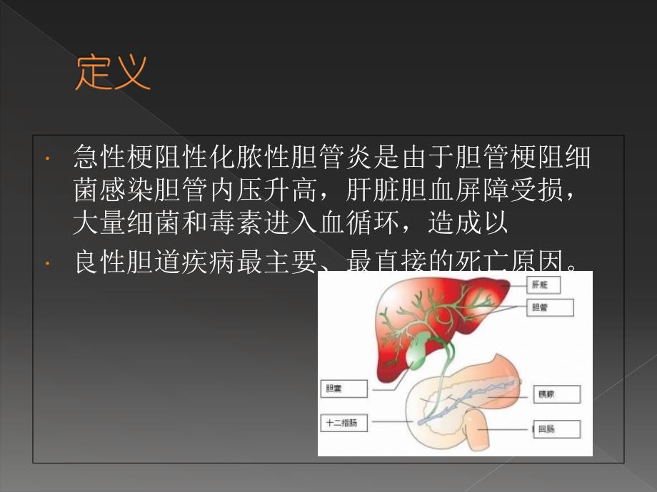 急性梗阻性化脓性胆管炎2课件_第2页