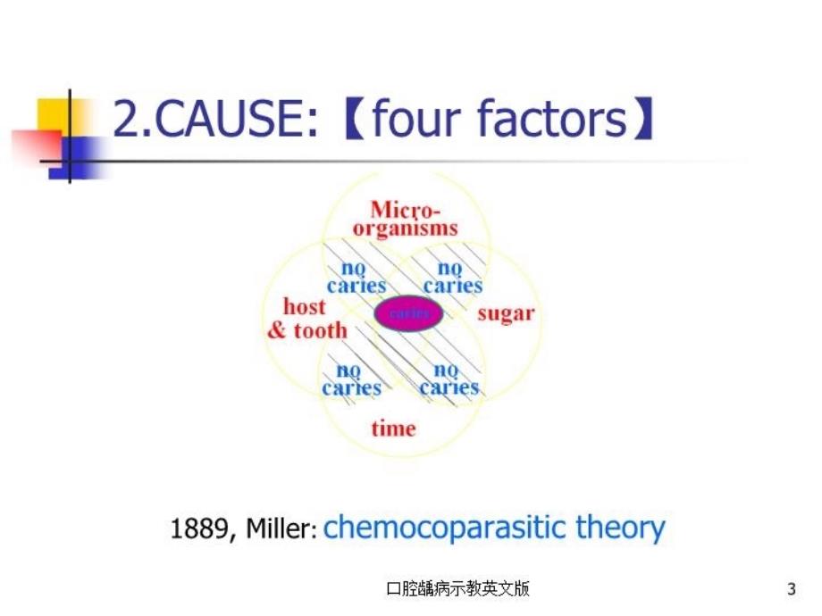 口腔龋病示教英文版培训课件_第3页