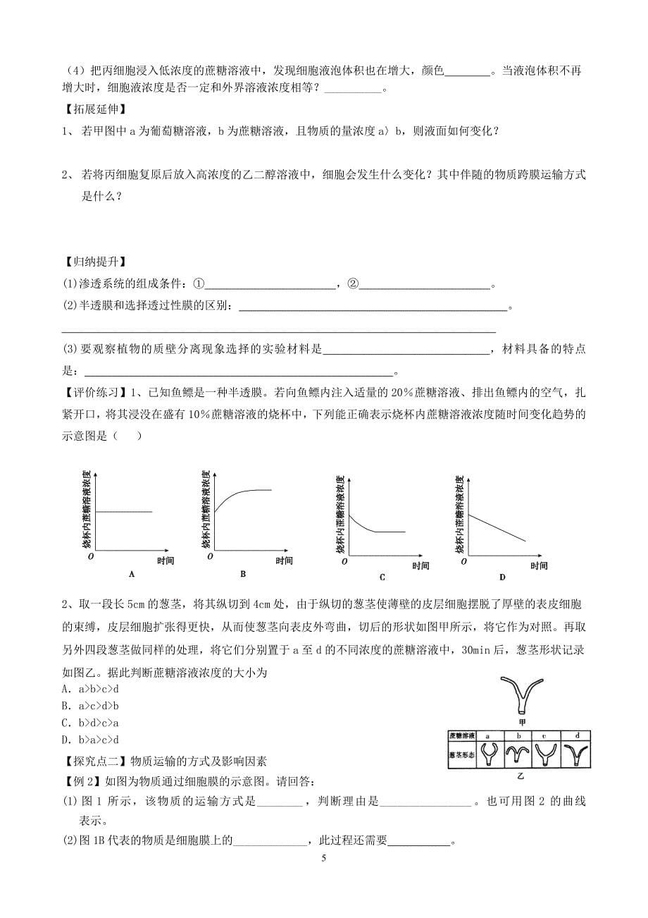 高考一轮复习课时学案 NO.6物质跨膜运输的实例和方式_第5页