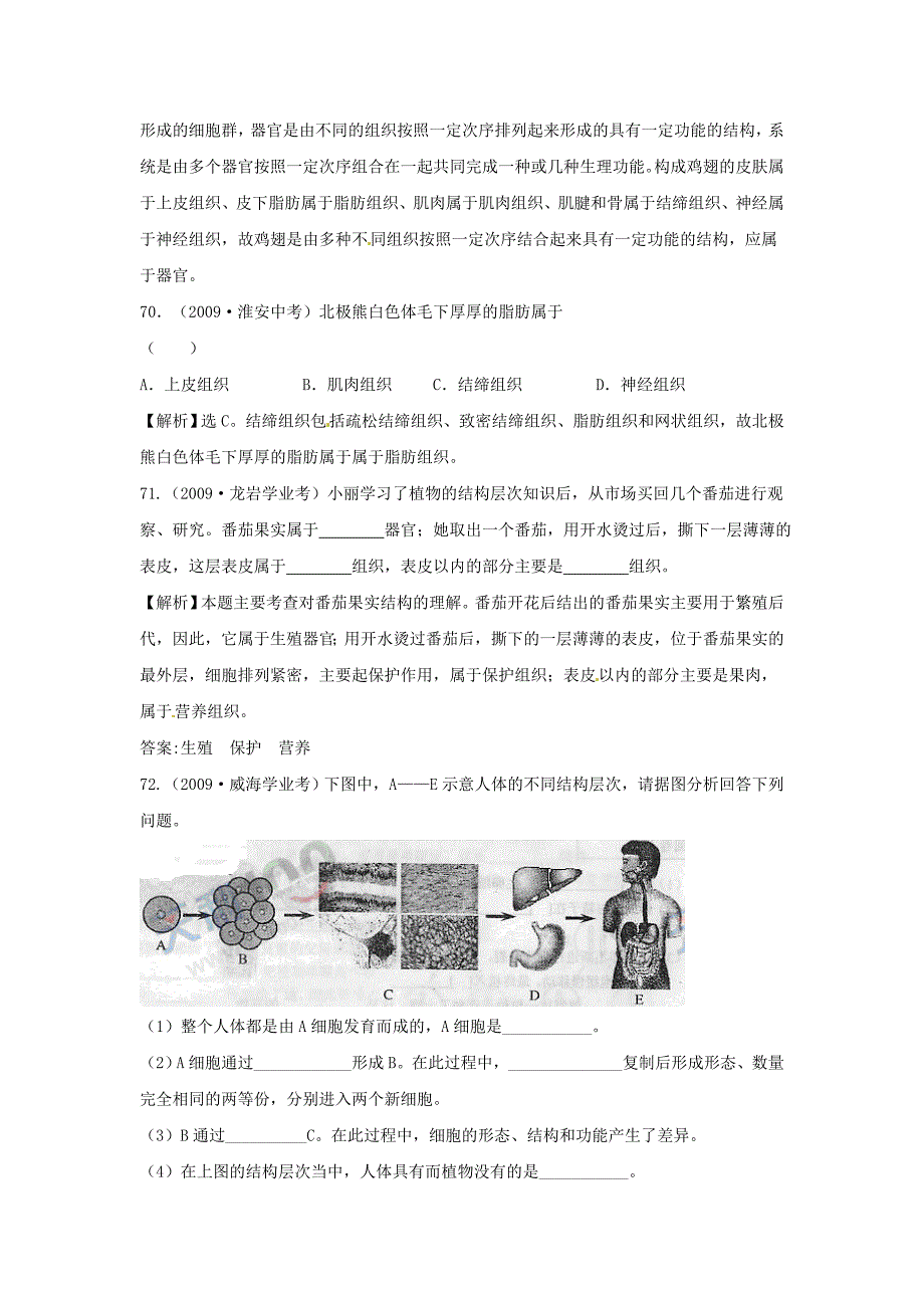 2012届近三年中考生物专题汇编及解析30 生物体的结构层次 人教新课标版_第4页