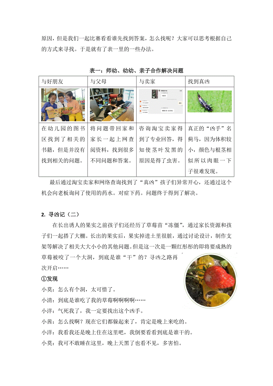 郑姣+案列大班《遇见“莓”好》公开课_第2页