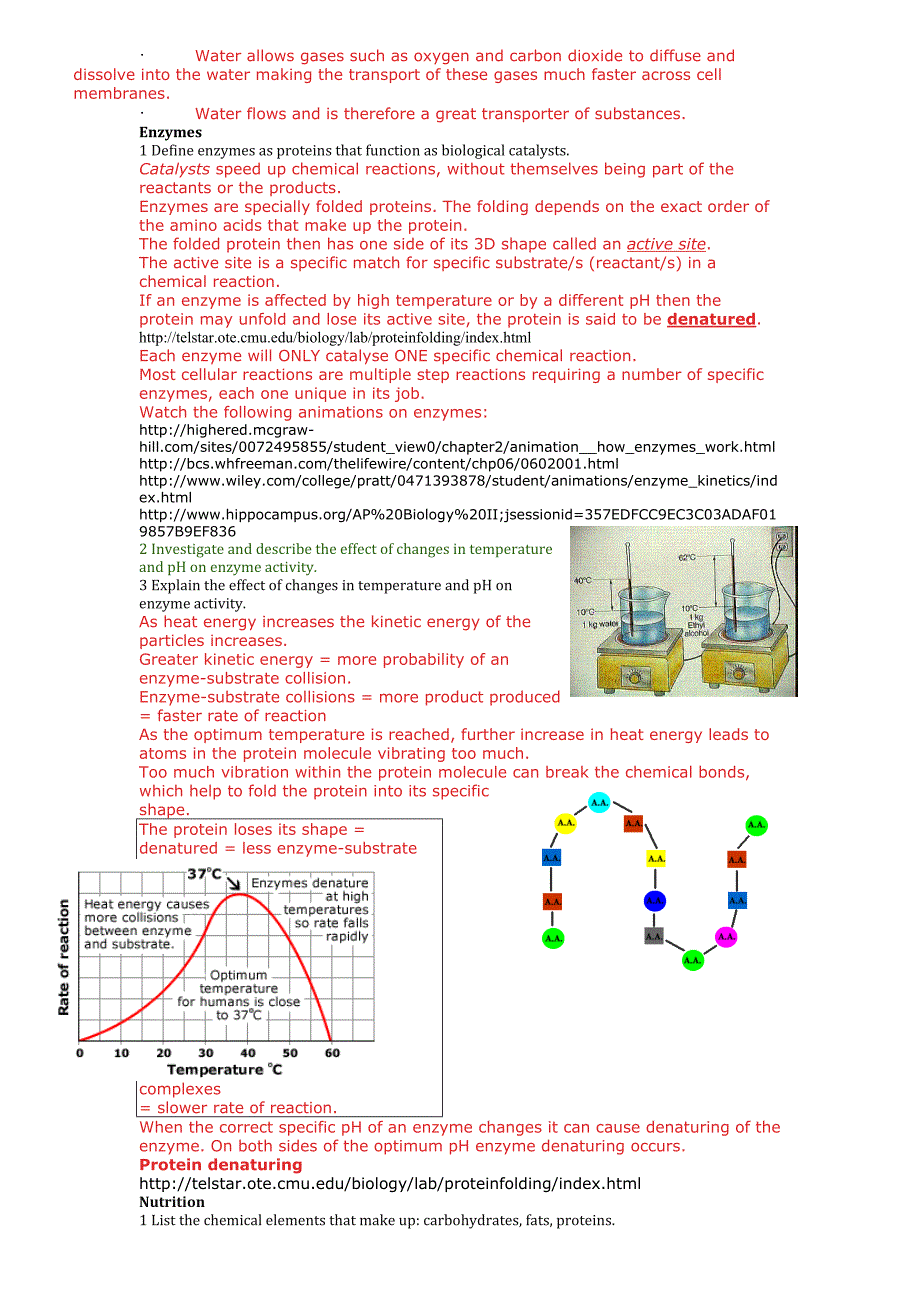 IGCSE Biology(生物)_第4页